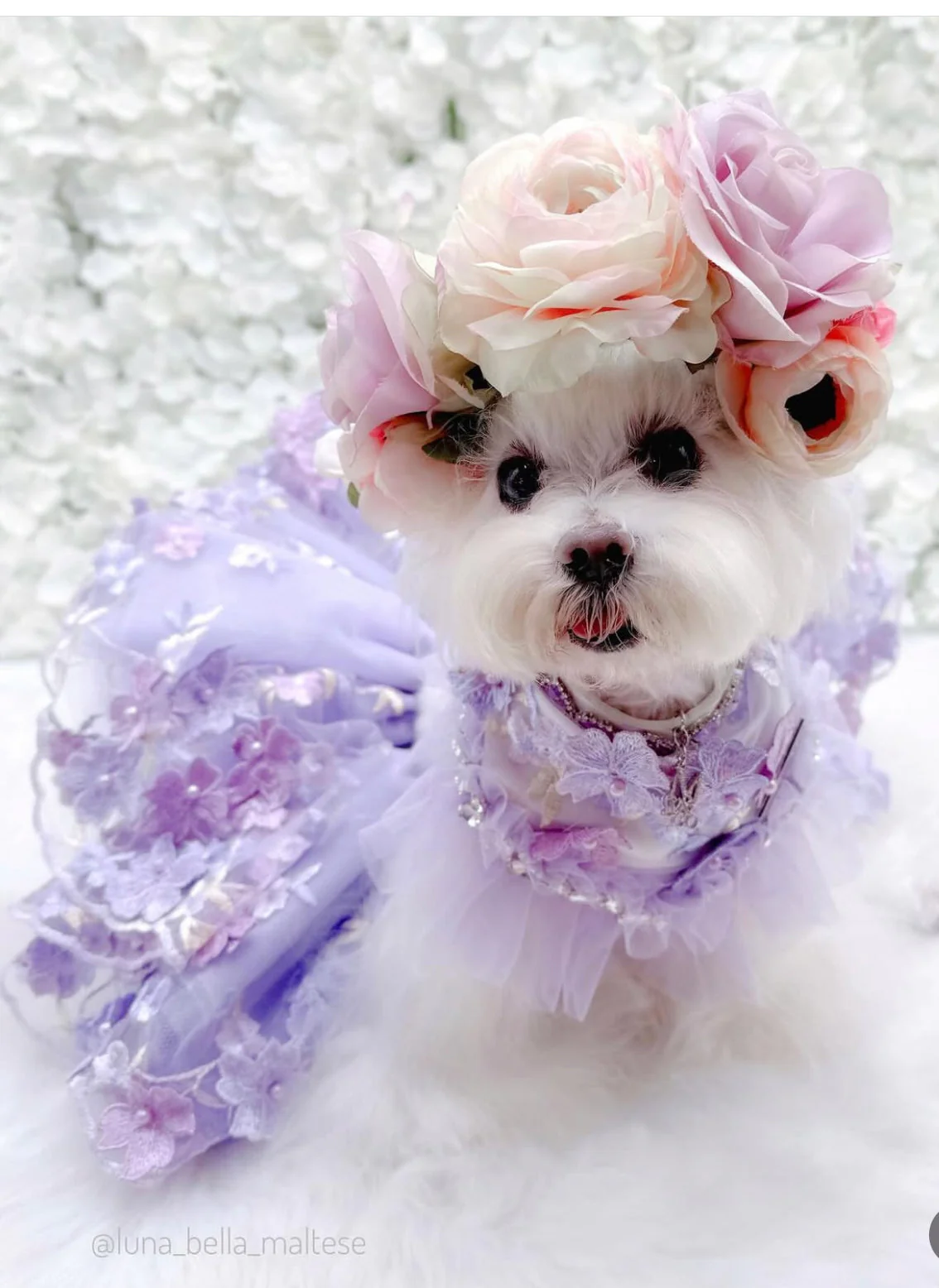 Shades of Lavender Tutu - Image 11