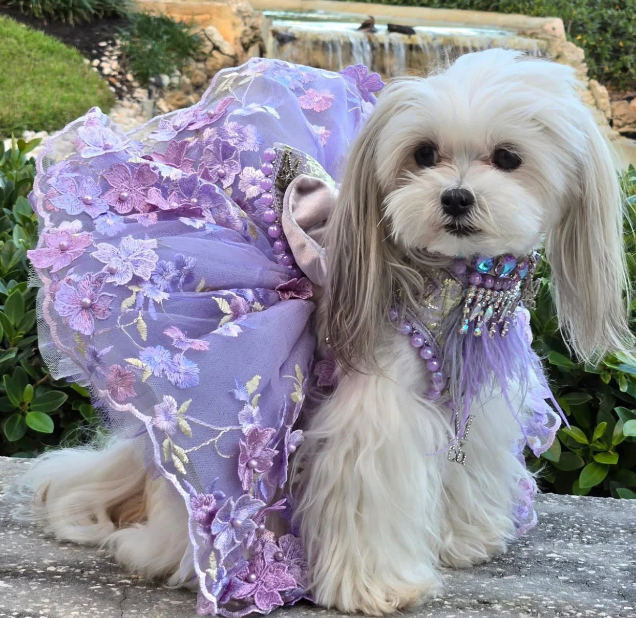 Shades of Lavender Tutu - Image 12