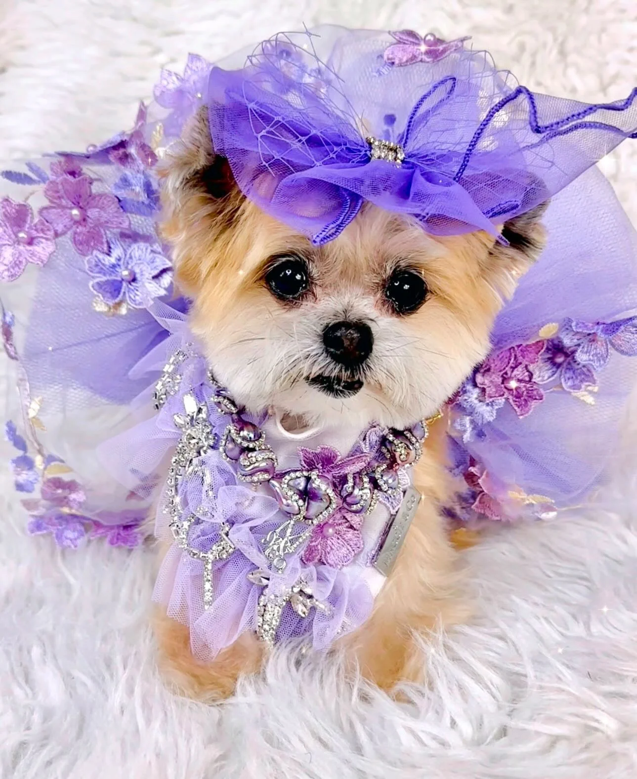 Shades of Lavender Tutu - Image 5