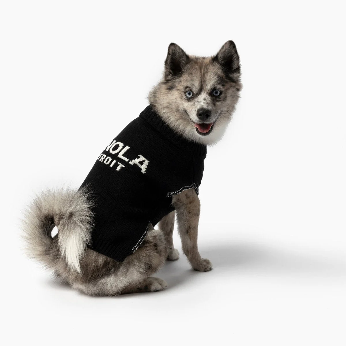 Shinola Brand Logo Knitted Pet Sweater - Image 2