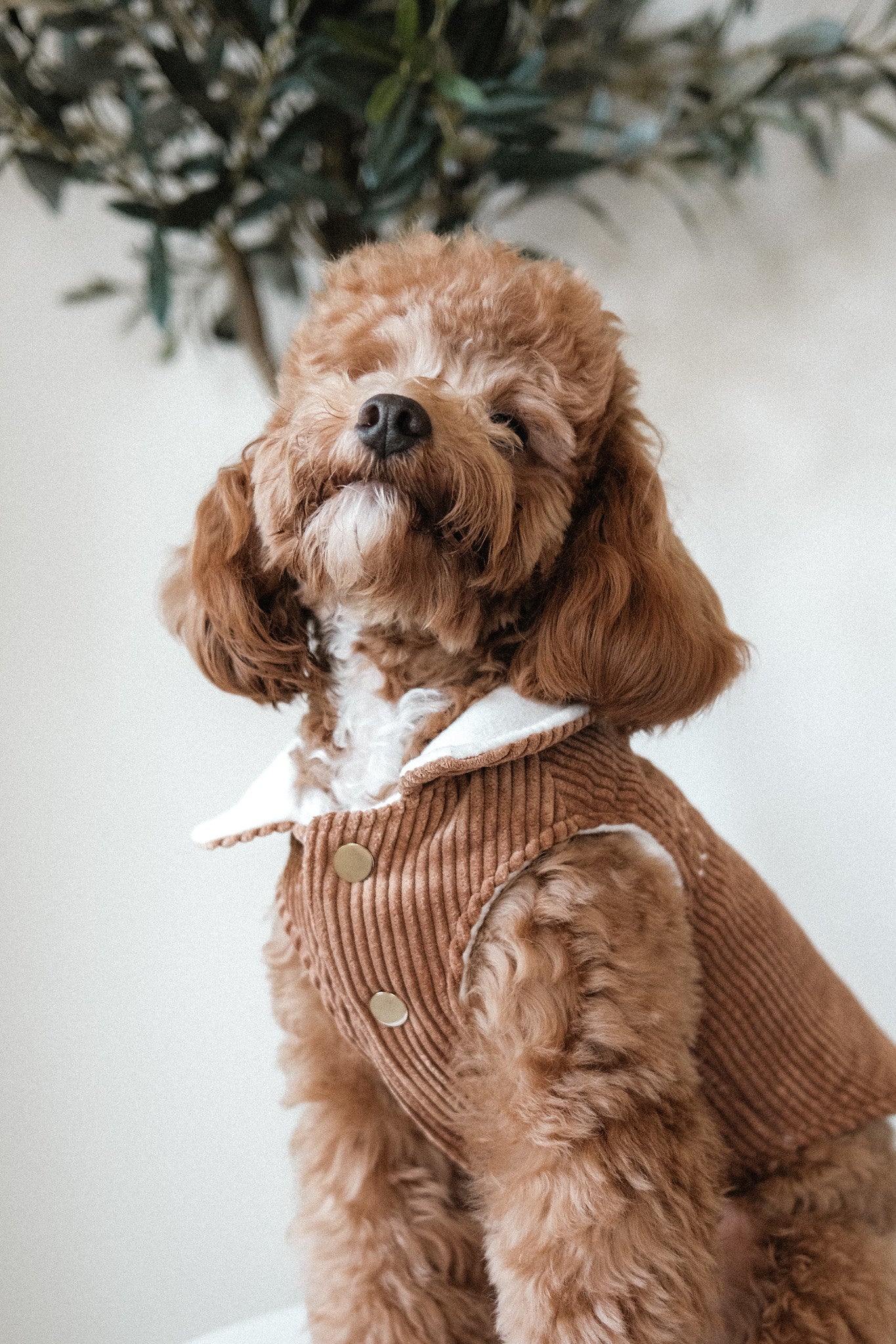 Signature Puffer Vests - Image 8