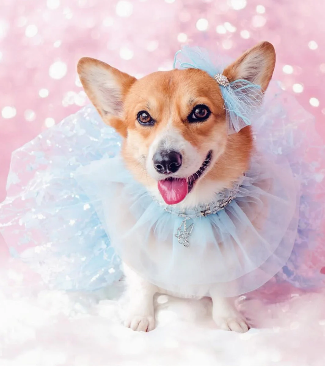 Signature: Winter Fairy - Image 4