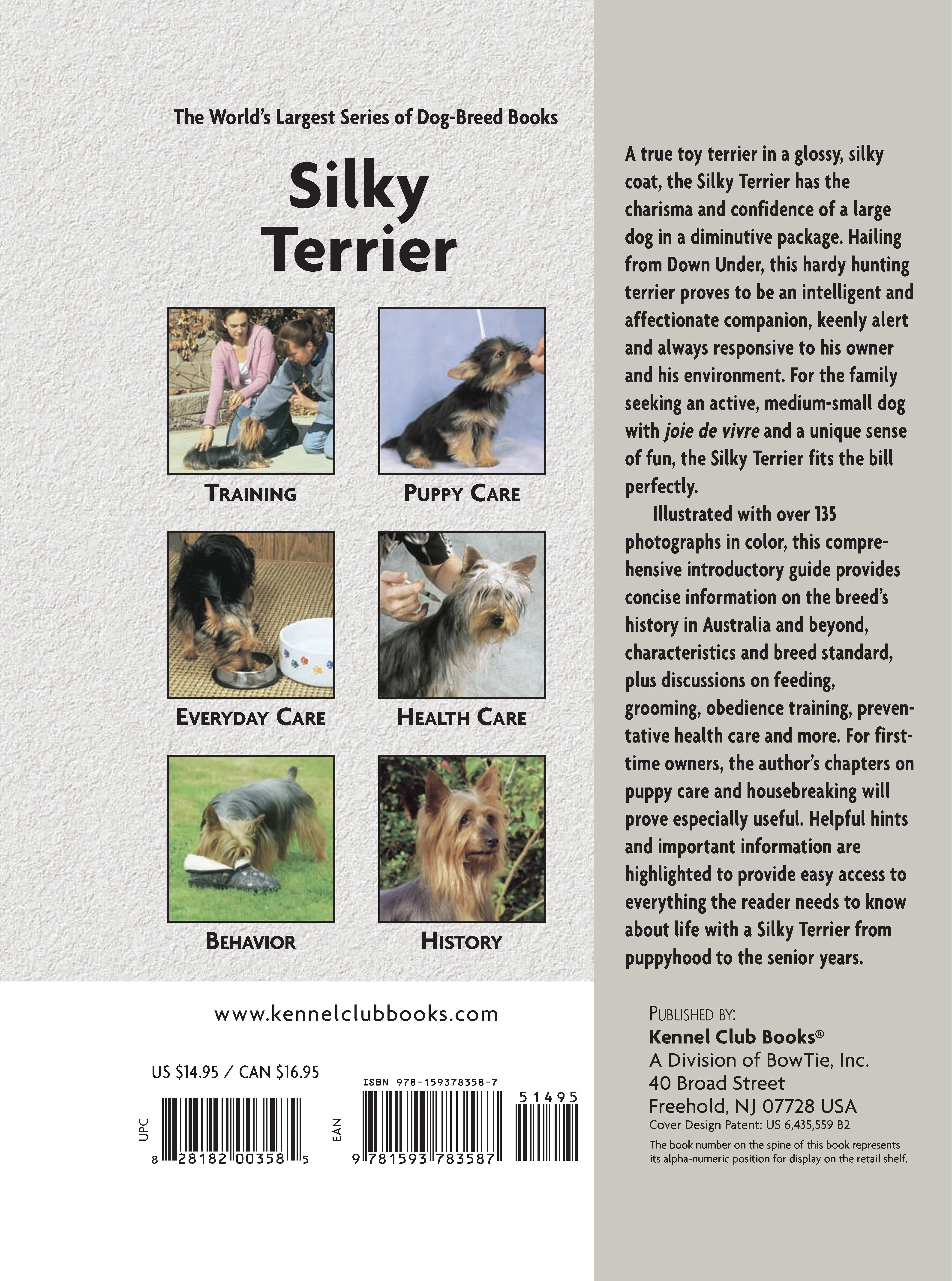 Silky Terrier - Image 2