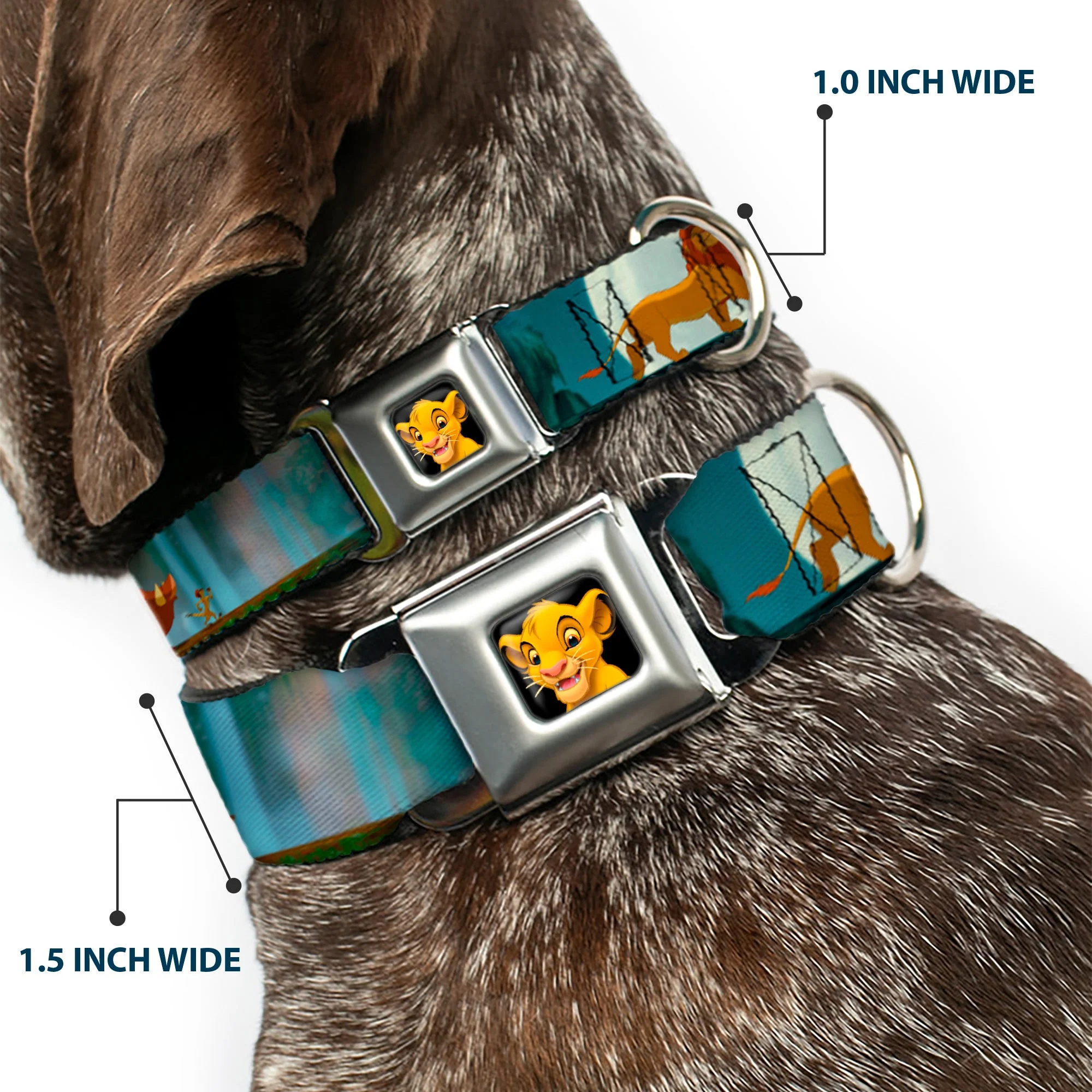 Simba2 CLOSE-UP Full Color Seatbelt Buckle Collar - Lion King Simba, Pumba & Timon Growing Up - Image 2