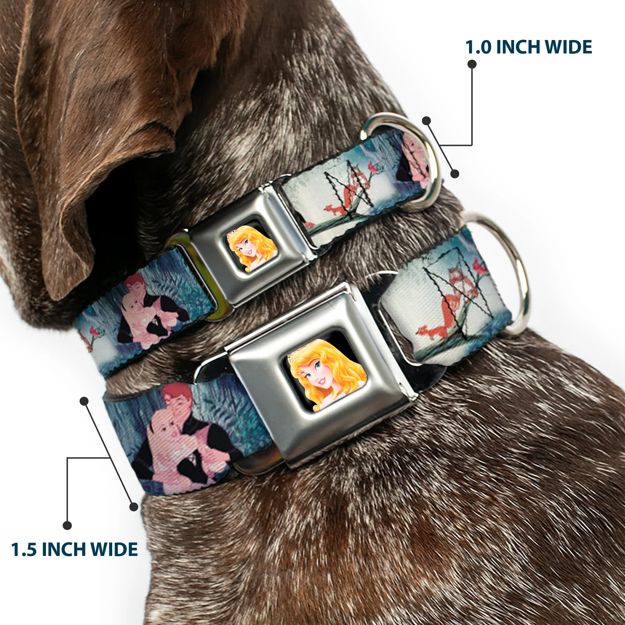 Sleeping Beauty Full Color Seatbelt Buckle Collar - Sleeping Beauty Woods Scenes - Image 2