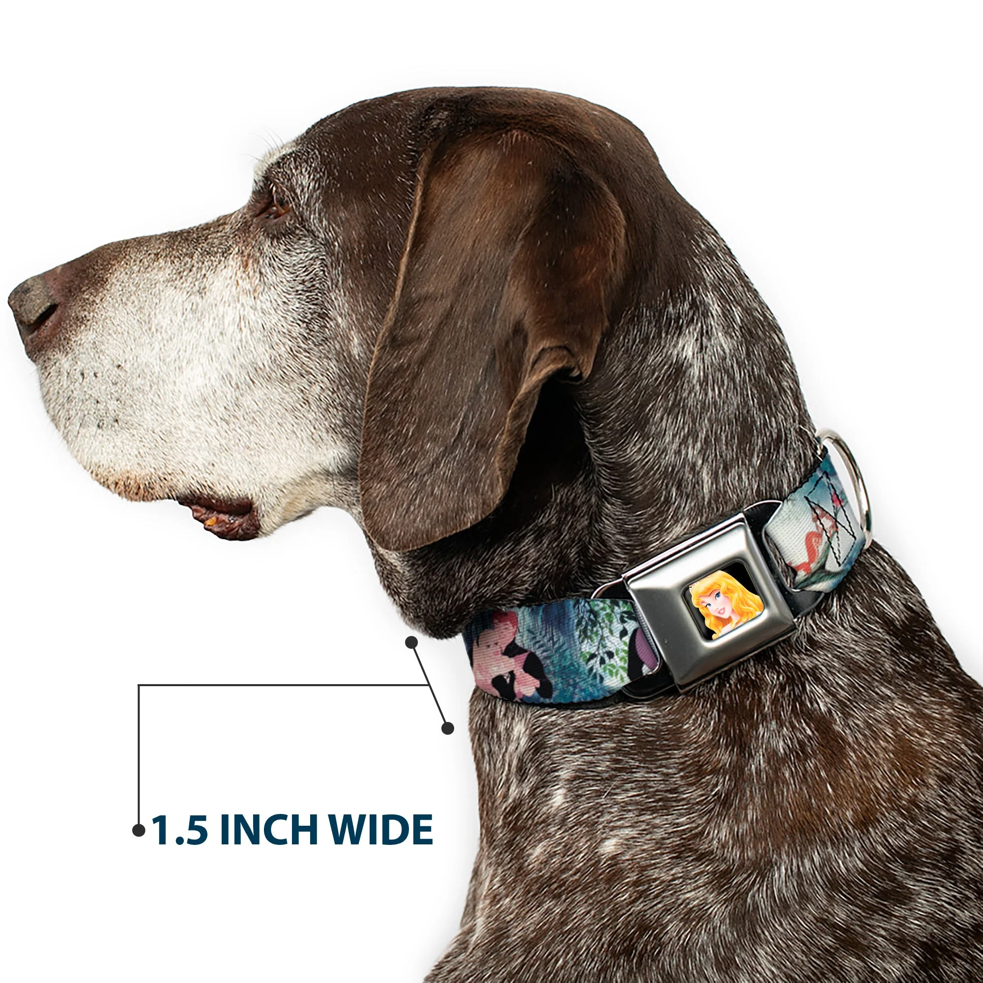 Sleeping Beauty Full Color Seatbelt Buckle Collar - Sleeping Beauty Woods Scenes - Image 7