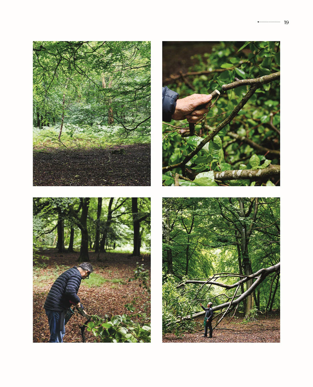 Slingshots & Key Hooks - Image 2