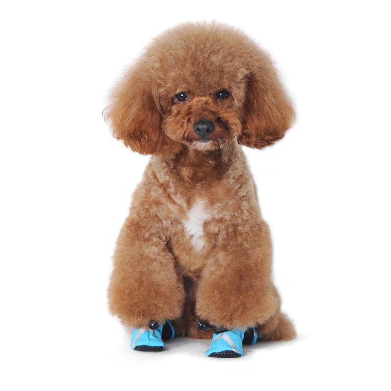 Slip-On Paws - Image 22