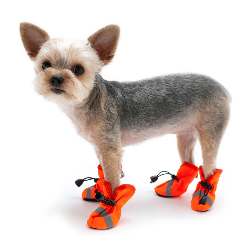 Slip-On Paws - Image 33