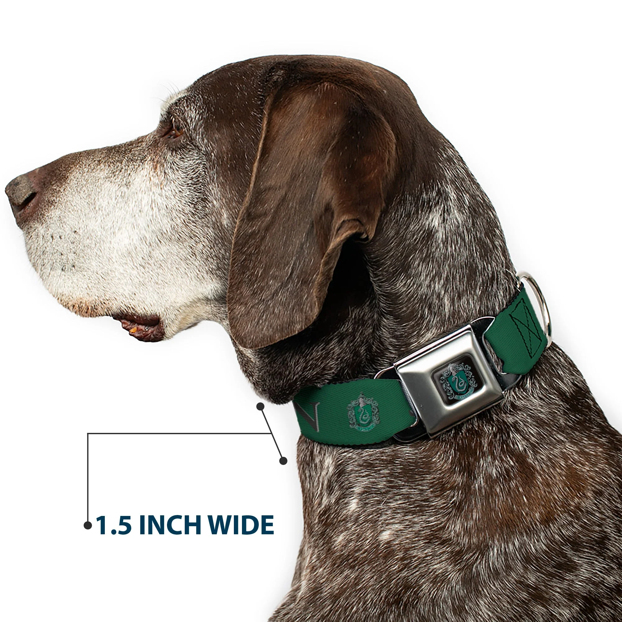 Slytherin Crest Full Color Seatbelt Buckle Collar - Harry Potter SLYTHERIN & Crest Green/Black - Image 7