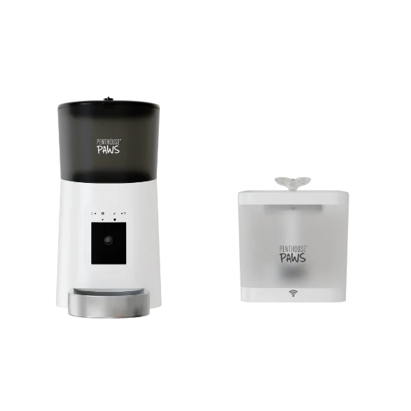 Smart HD Feeder & Water Fountain - Image 7