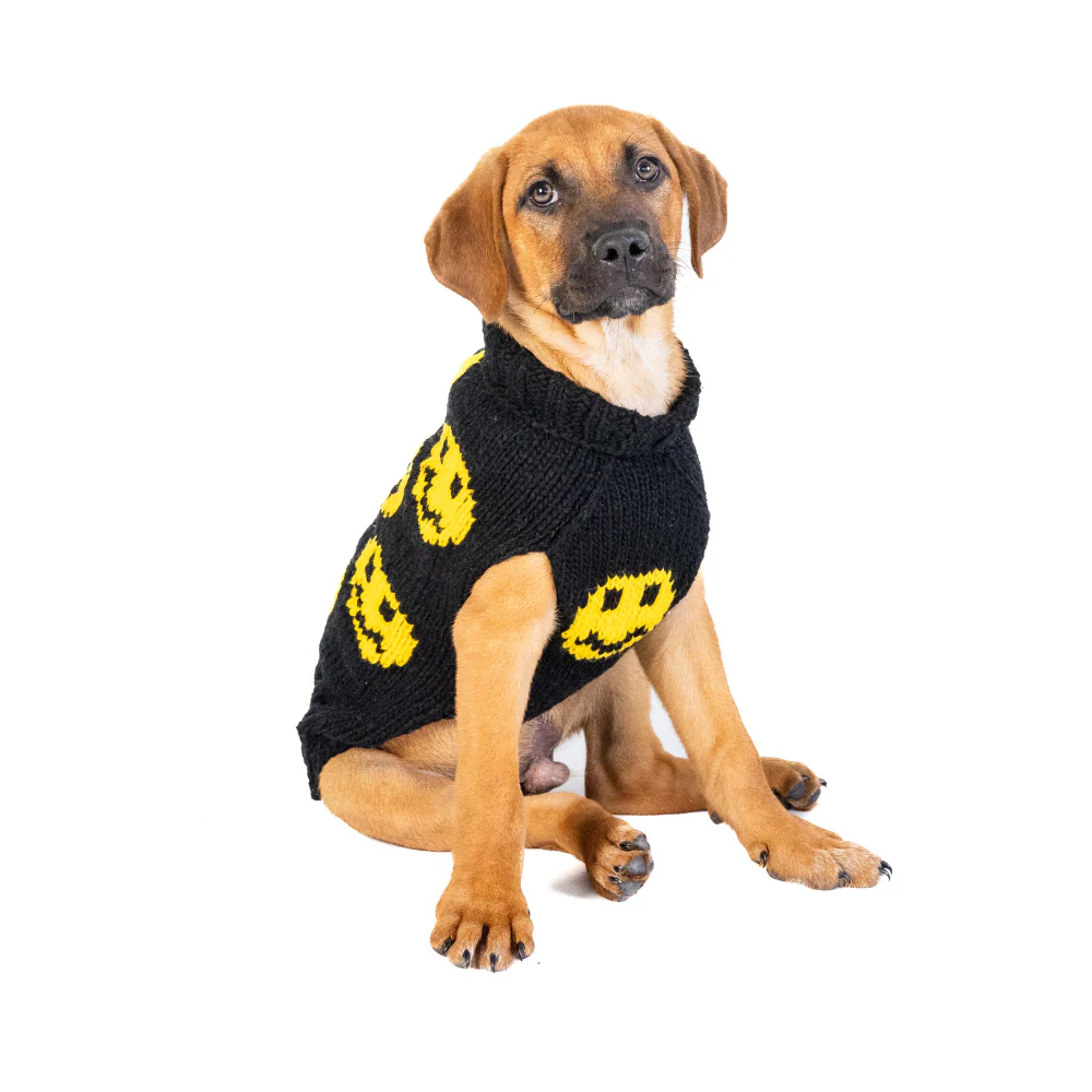 Smiley Dog Sweater - Image 3