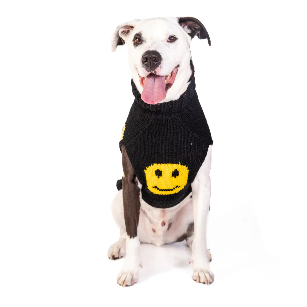 Smiley Dog Sweater - Image 4
