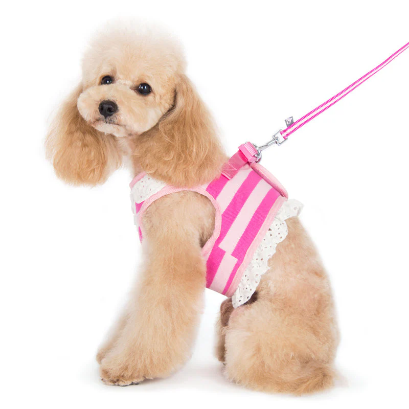 SnapGO Polo Girl Harness