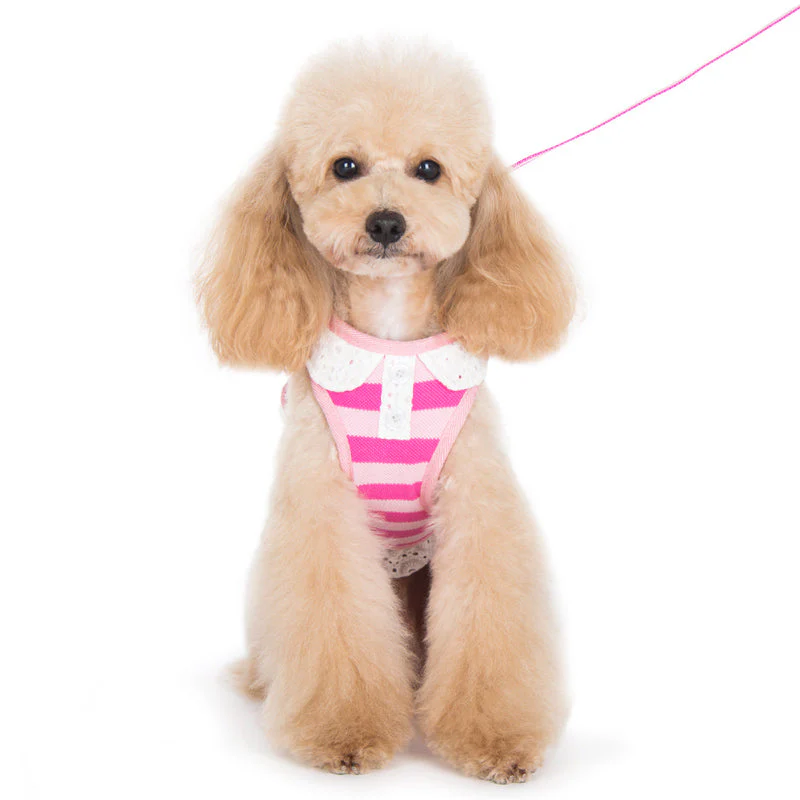 SnapGO Polo Girl Harness - Image 3