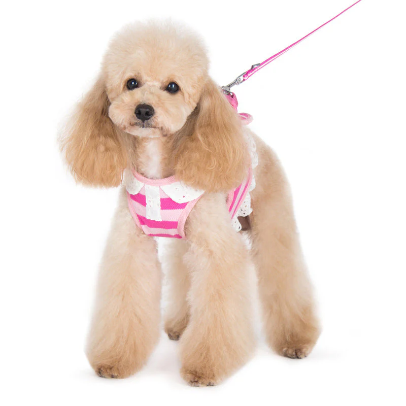 SnapGO Polo Girl Harness - Image 5