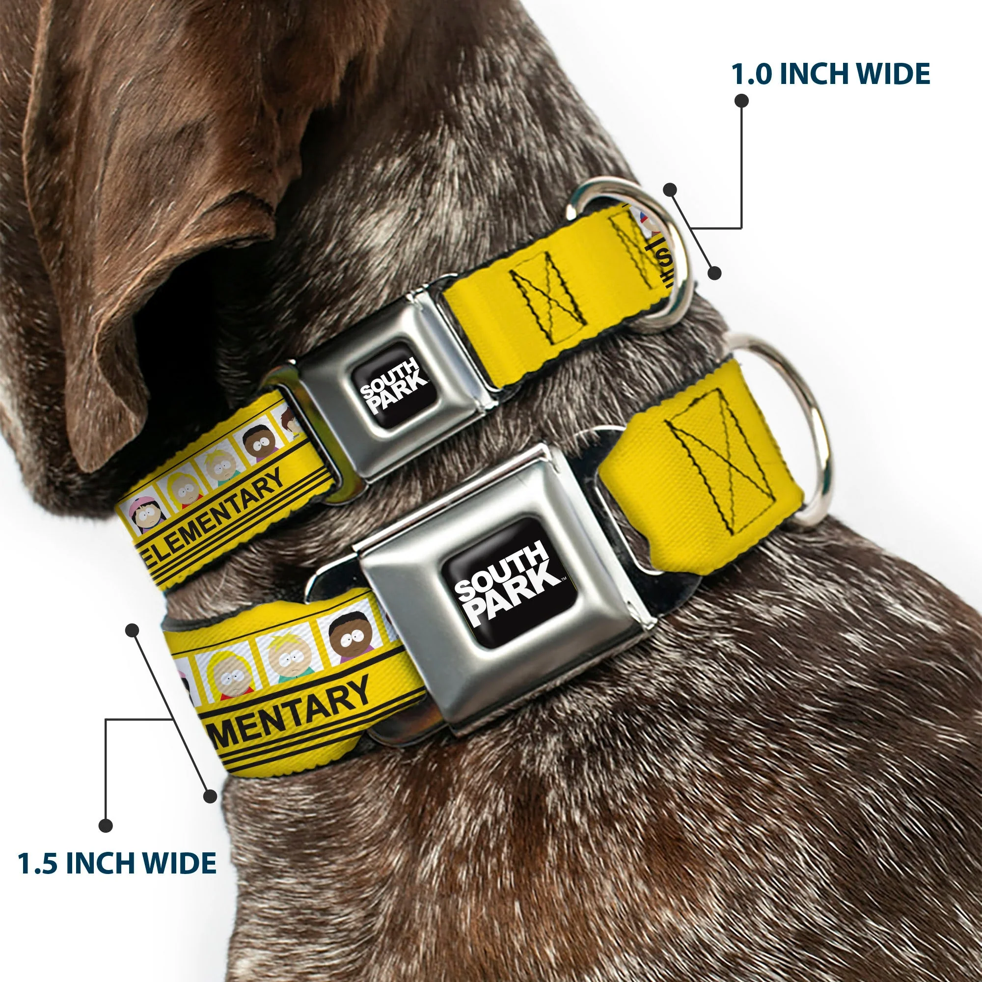 SOUTH PARK Title Logo Full Color Black/White Seatbelt Buckle Collar - SOUTH PARK ELEMENTARY School Bus Characters Pose Yellow - Image 2