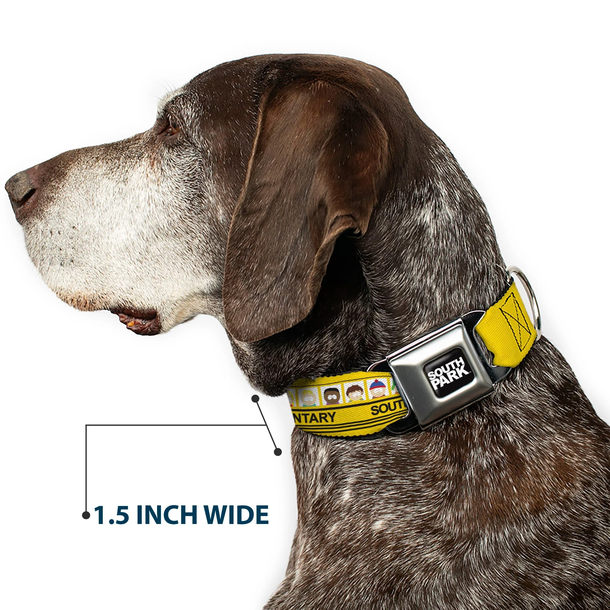 SOUTH PARK Title Logo Full Color Black/White Seatbelt Buckle Collar - SOUTH PARK ELEMENTARY School Bus Characters Pose Yellow - Image 7