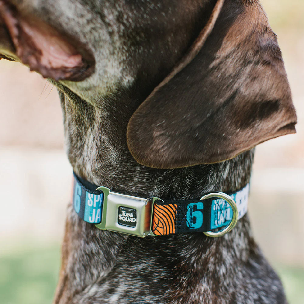 Space Jam 2 TUNE SQUAD Logo Full Color Black/White Seatbelt Buckle Collar - SPACE JAM Number 6 Blocks Black/Turquoise/White/Red - Image 7