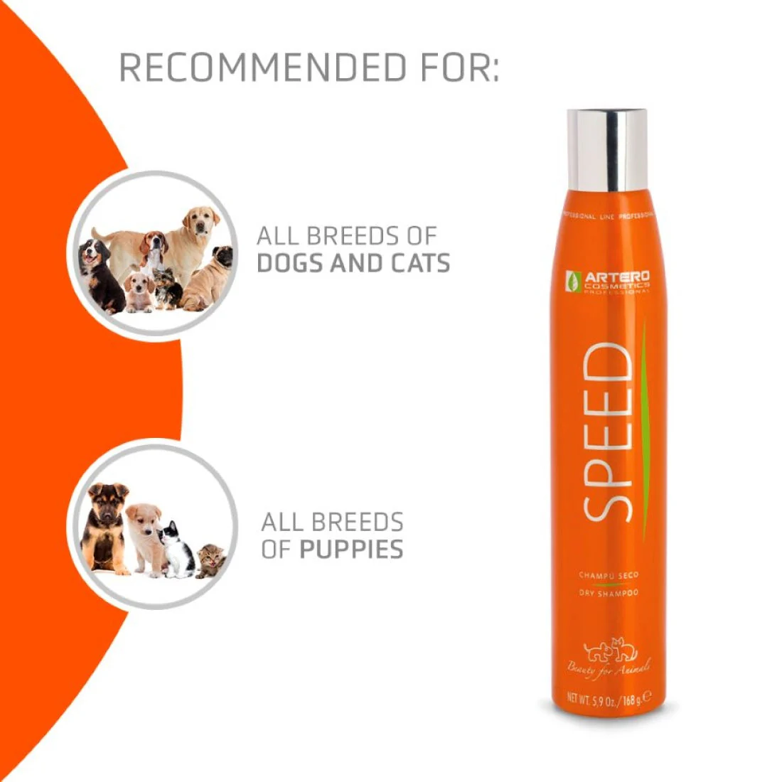 SPEED Dry Shampoo by Artero - Image 2