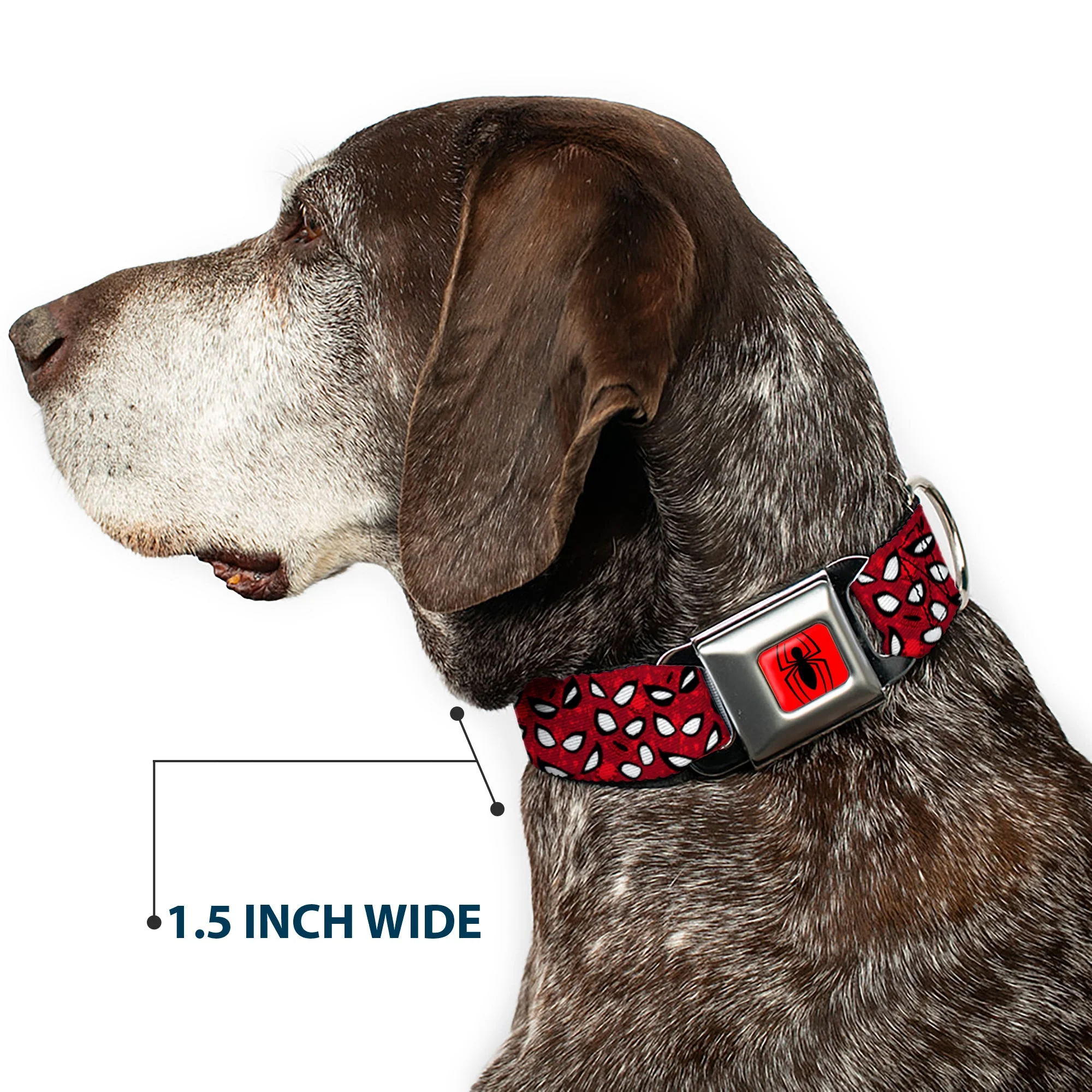 Spider Logo5 Red/Black Seatbelt Buckle Collar - Spider-Man Eyes/Spiders Scattered Reds/Black/White - Image 7
