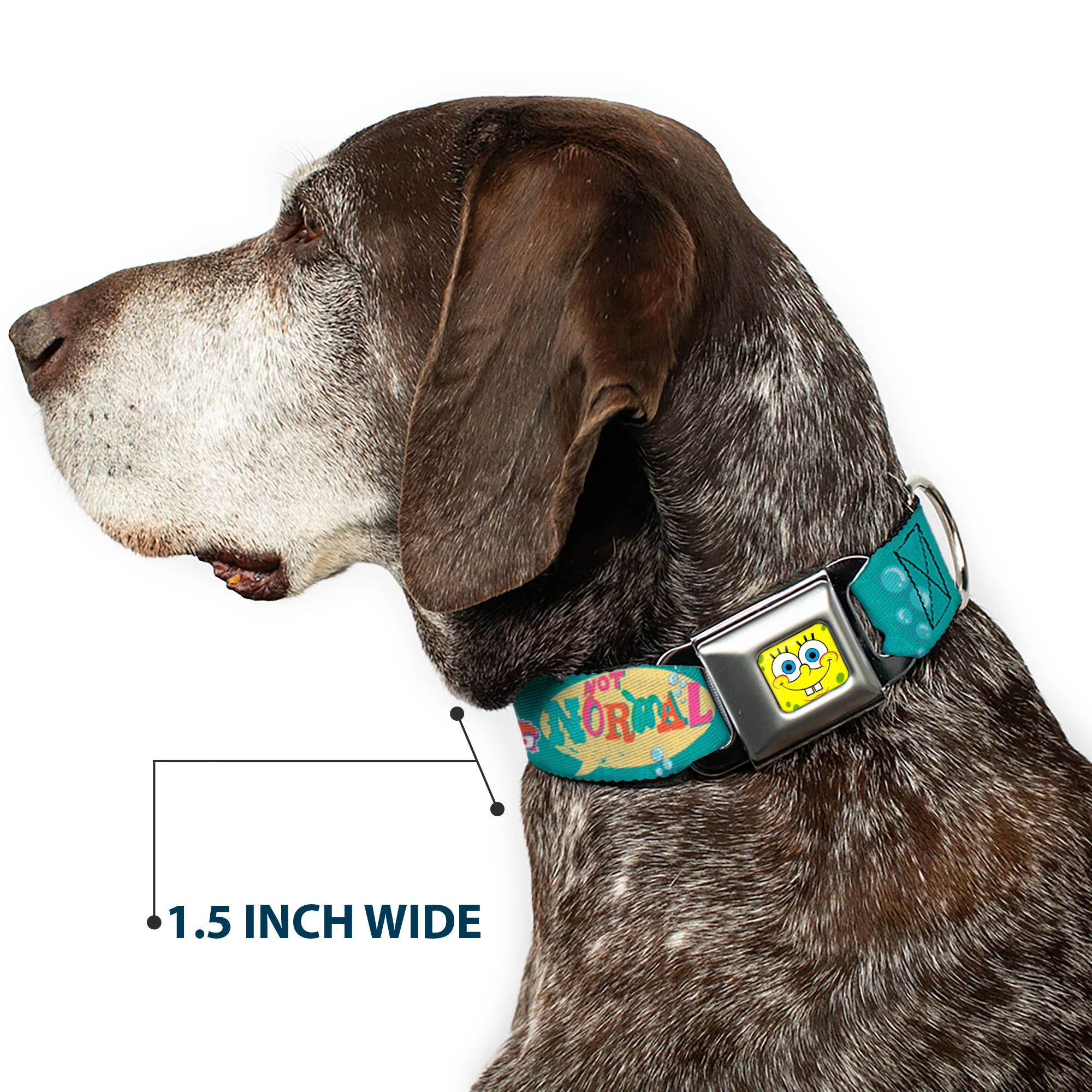 Sponge Bob Face CLOSE-UP Full Color Seatbelt Buckle Collar - Patrick, SpongeBob & Gary NOT NORMAL Aqua - Image 7