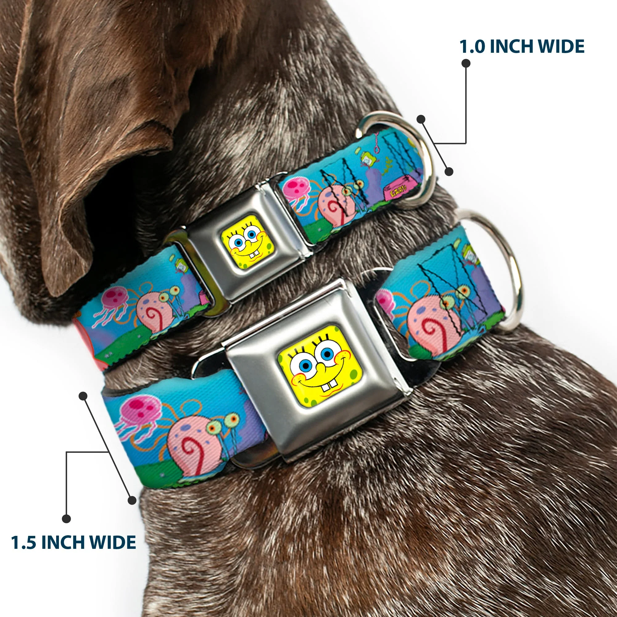 Sponge Bob Face CLOSE-UP Full Color Seatbelt Buckle Collar - SpongeBob and Friends/Logo - Image 2