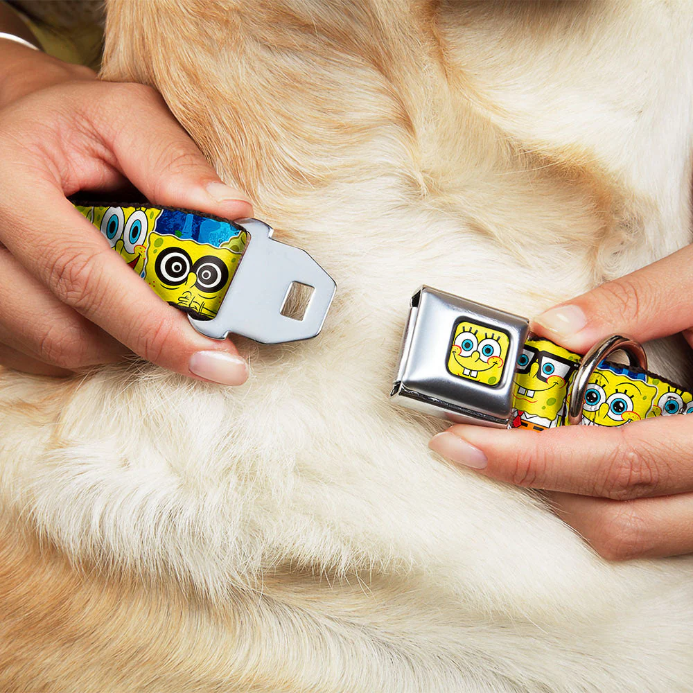 Sponge Bob Face CLOSE-UP Full Color Seatbelt Buckle Collar - SpongeBob Expressions Stripe Blue - Image 8