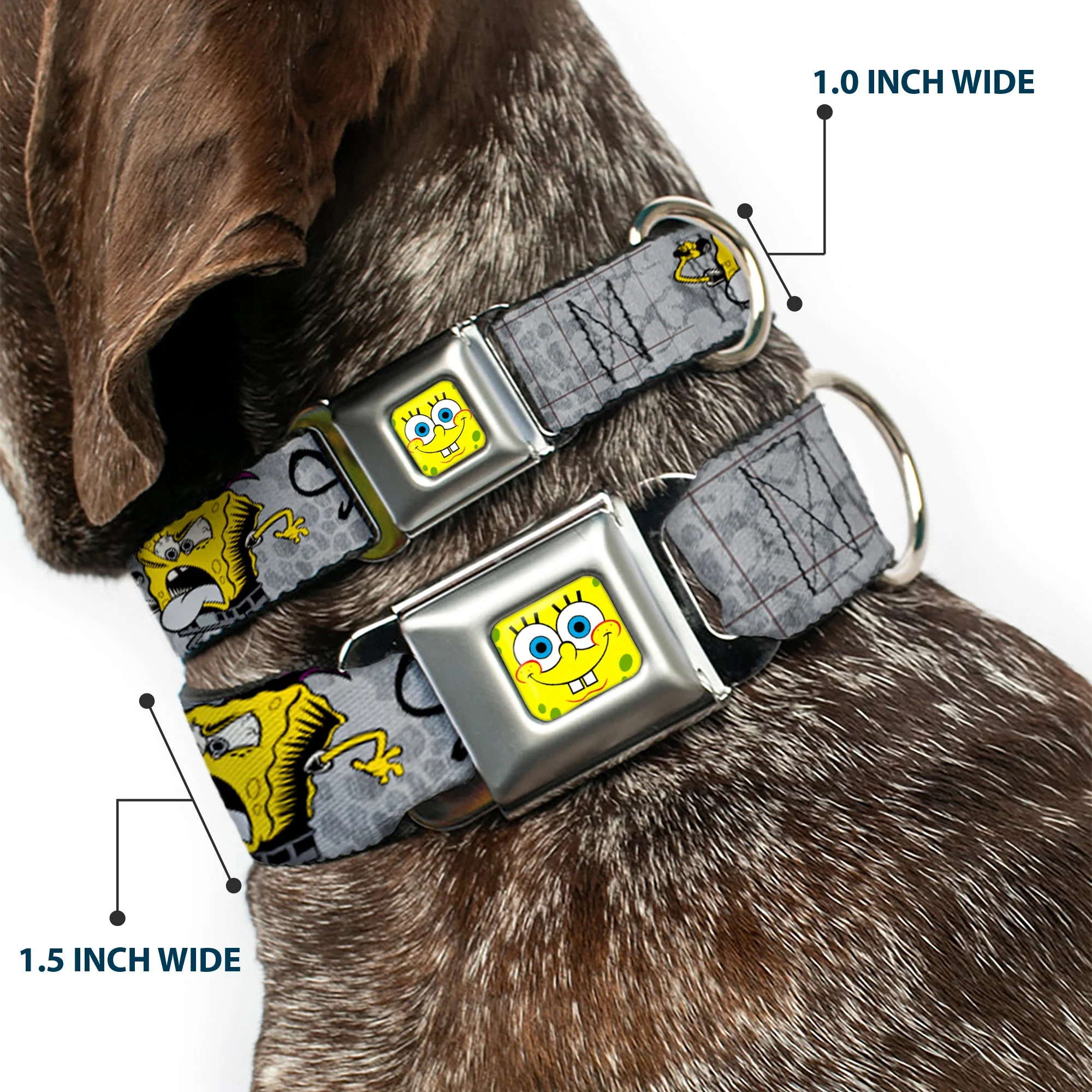SpongeBob Face CLOSE-UP Full Color Seatbelt Buckle Collar - SpongeBob 3-Poses SPONGEITUDE Grays/Black - Image 2