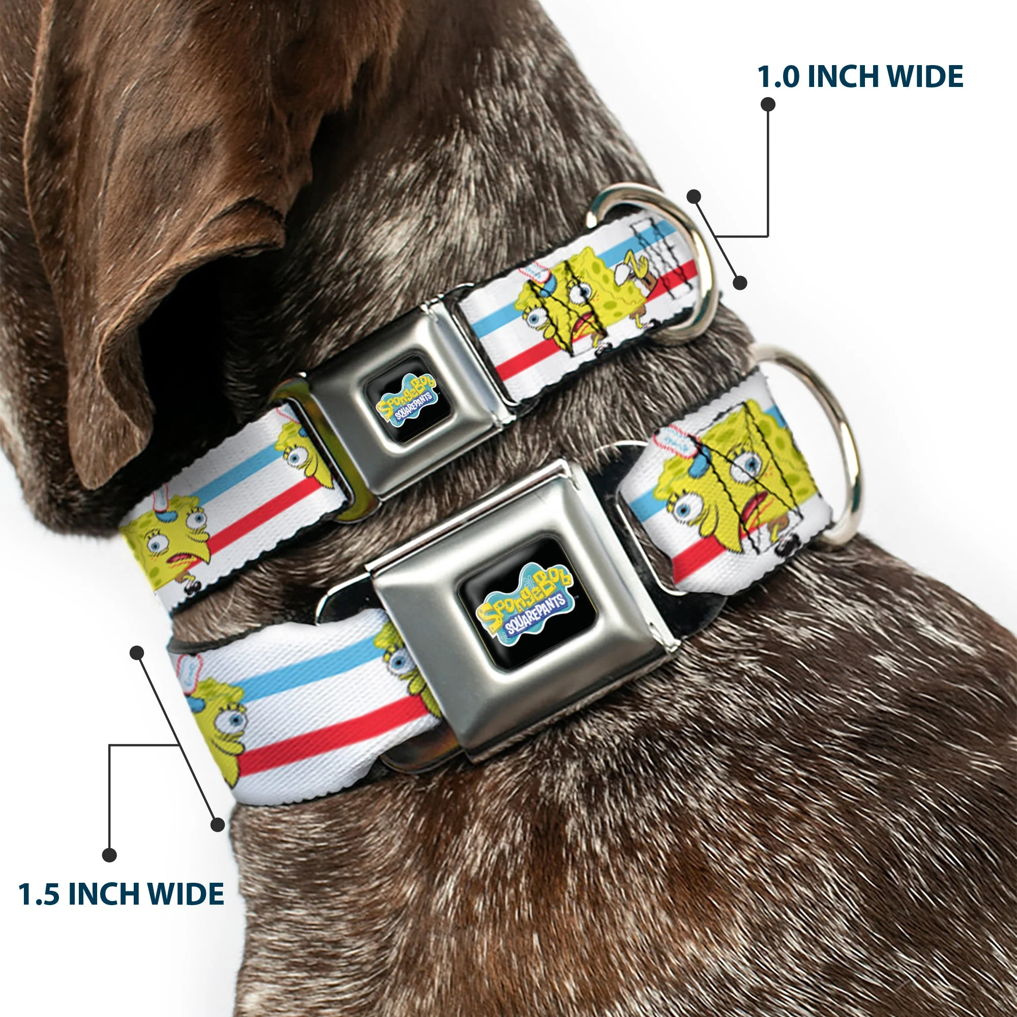 SpongeBob SquarePants Logo2 Full Color Black Seatbelt Buckle Collar - Mocking SpongeBob Pose Stripe White/Blue/Red - Image 2
