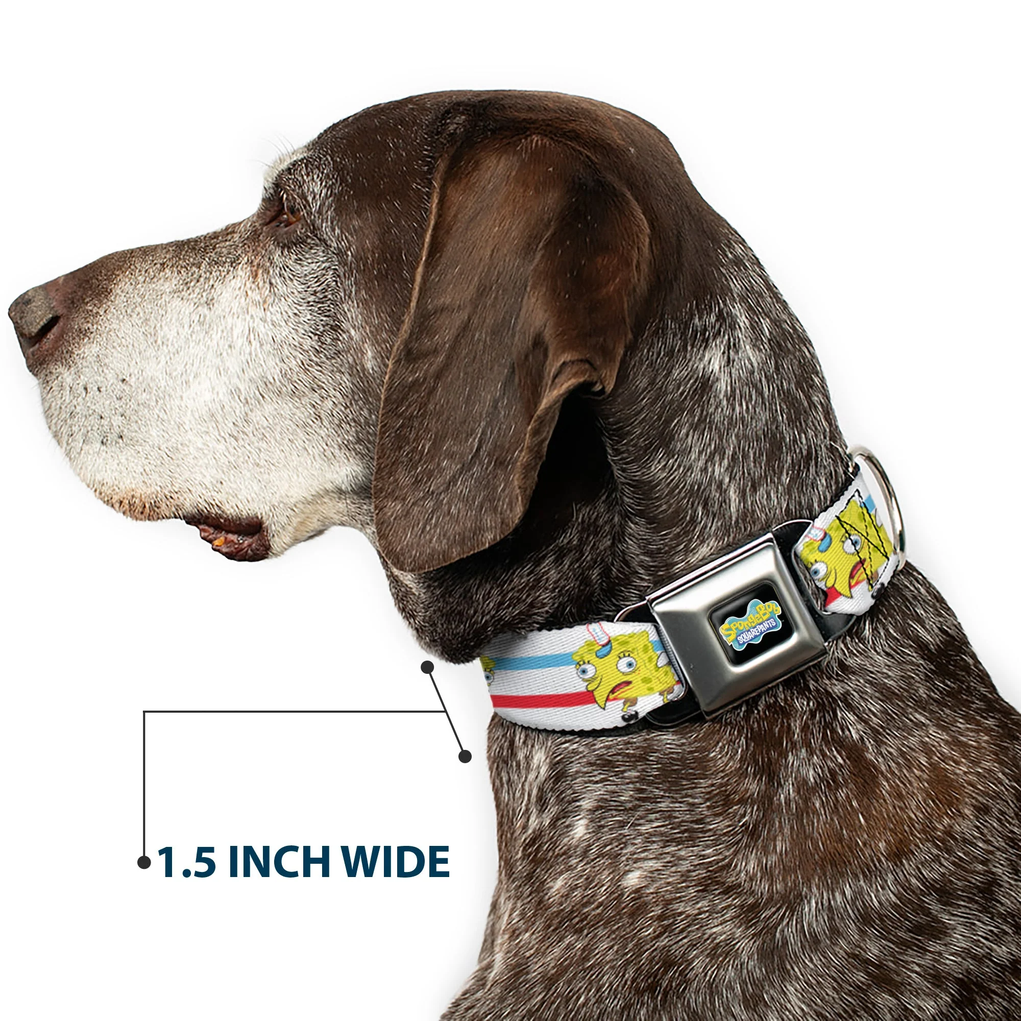 SpongeBob SquarePants Logo2 Full Color Black Seatbelt Buckle Collar - Mocking SpongeBob Pose Stripe White/Blue/Red - Image 7