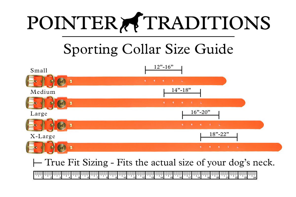 Sporting Dog Collar - Blaze Orange - Image 3