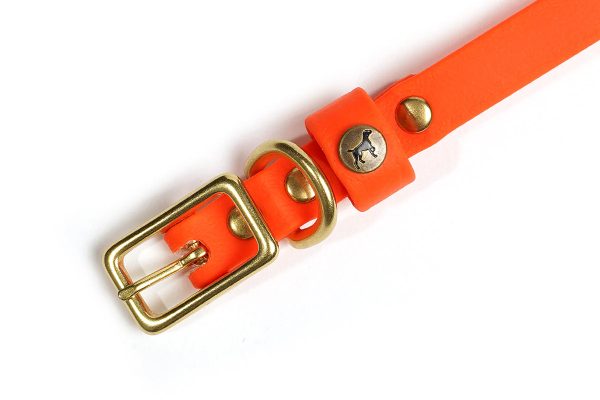 Sporting Puppy Collar - Blaze Orange - Image 2