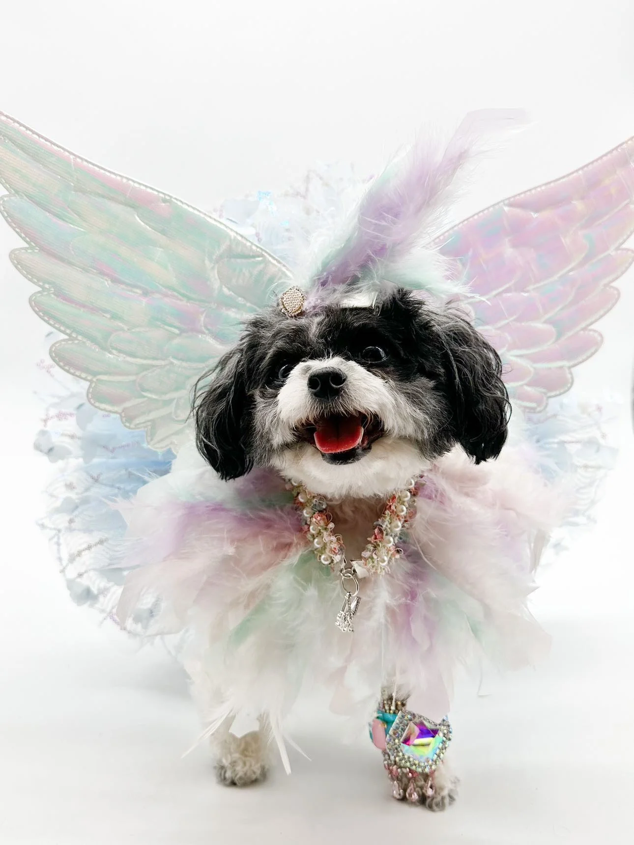 Spring Haute: Fairies Feathery Collar - Image 2