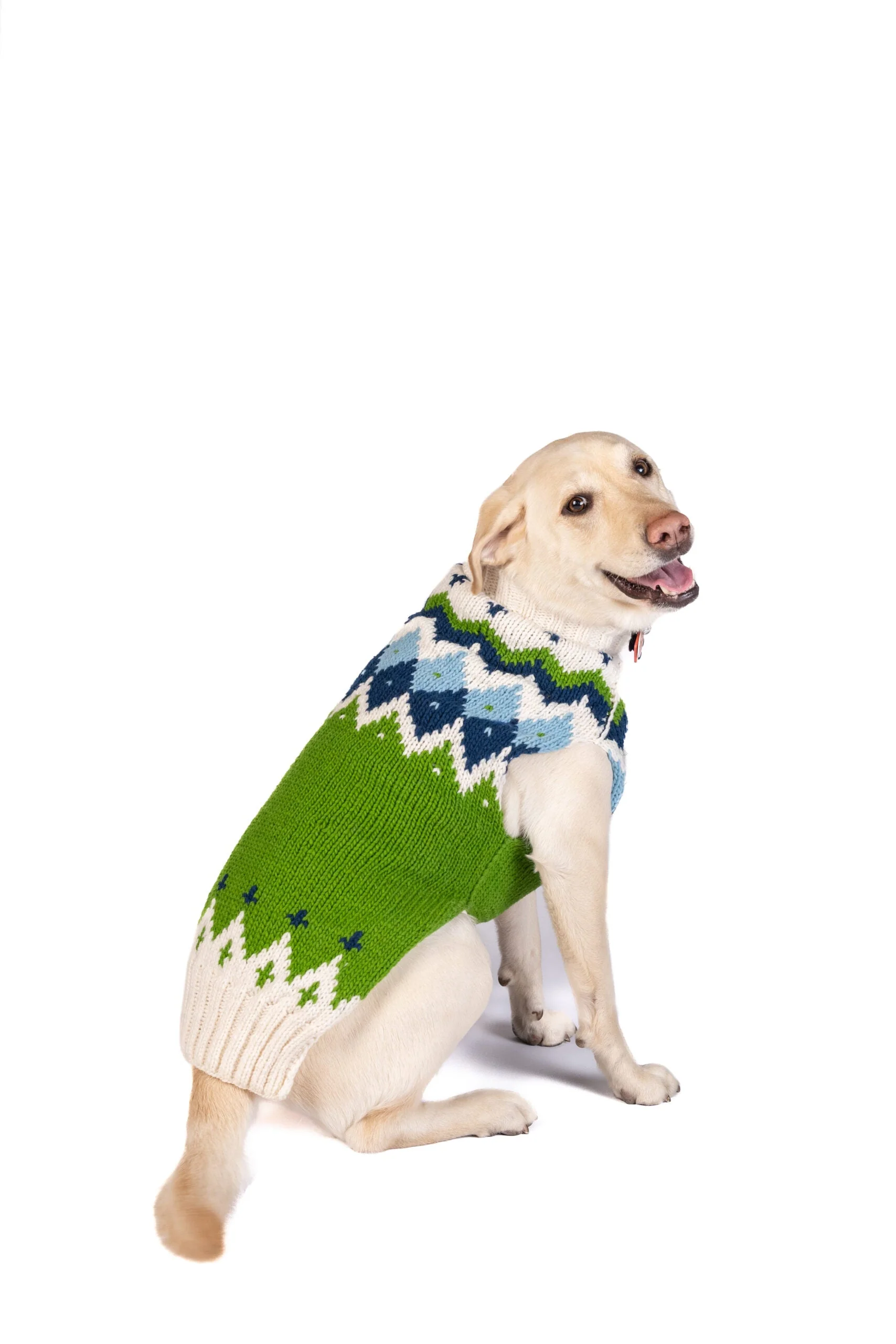 Spring Ski Bum Dog Sweater - Image 7