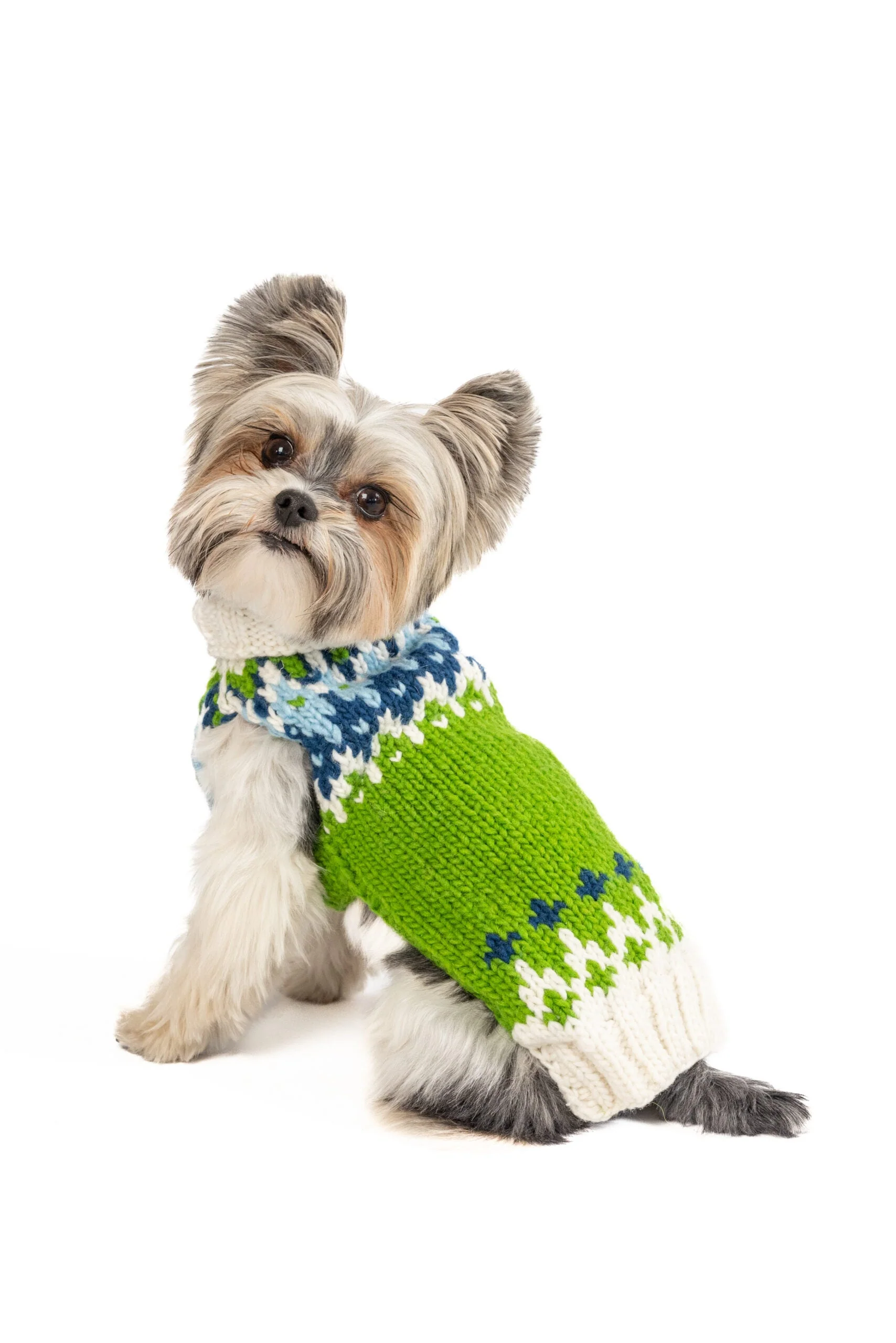 Spring Ski Bum Dog Sweater - Image 8