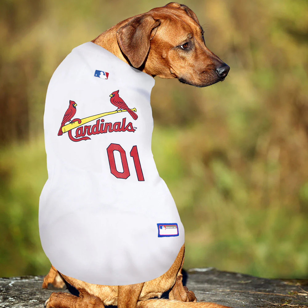 St. Louis Cardinals Dog Jersey - White - Image 3
