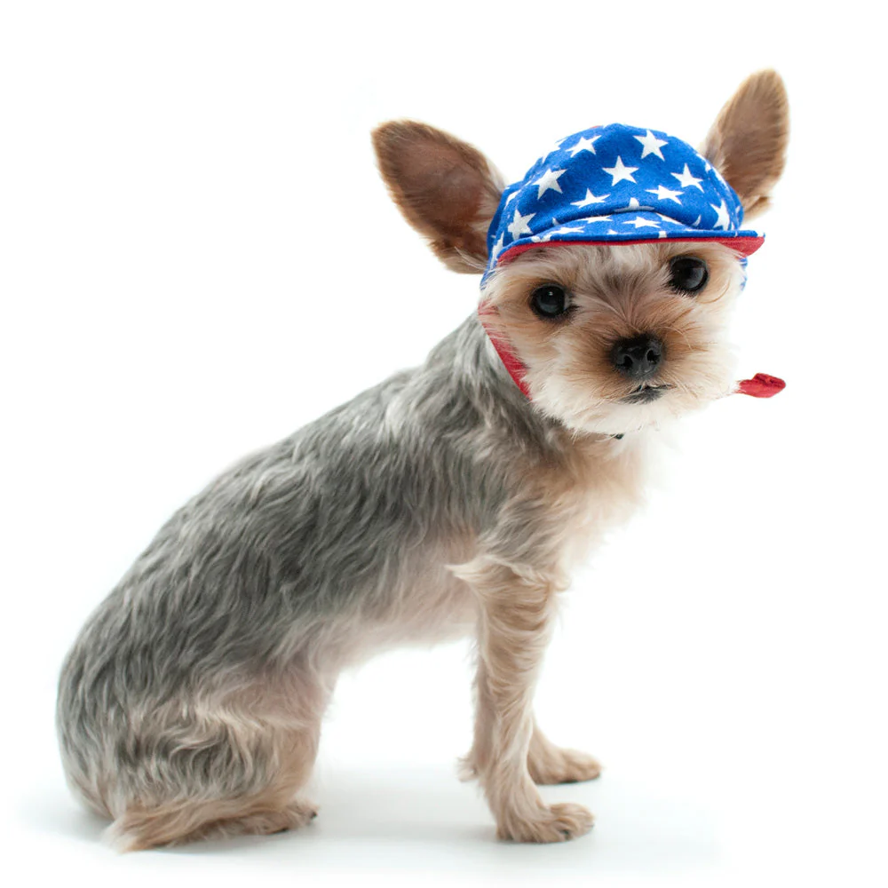 Star Hat - Image 6