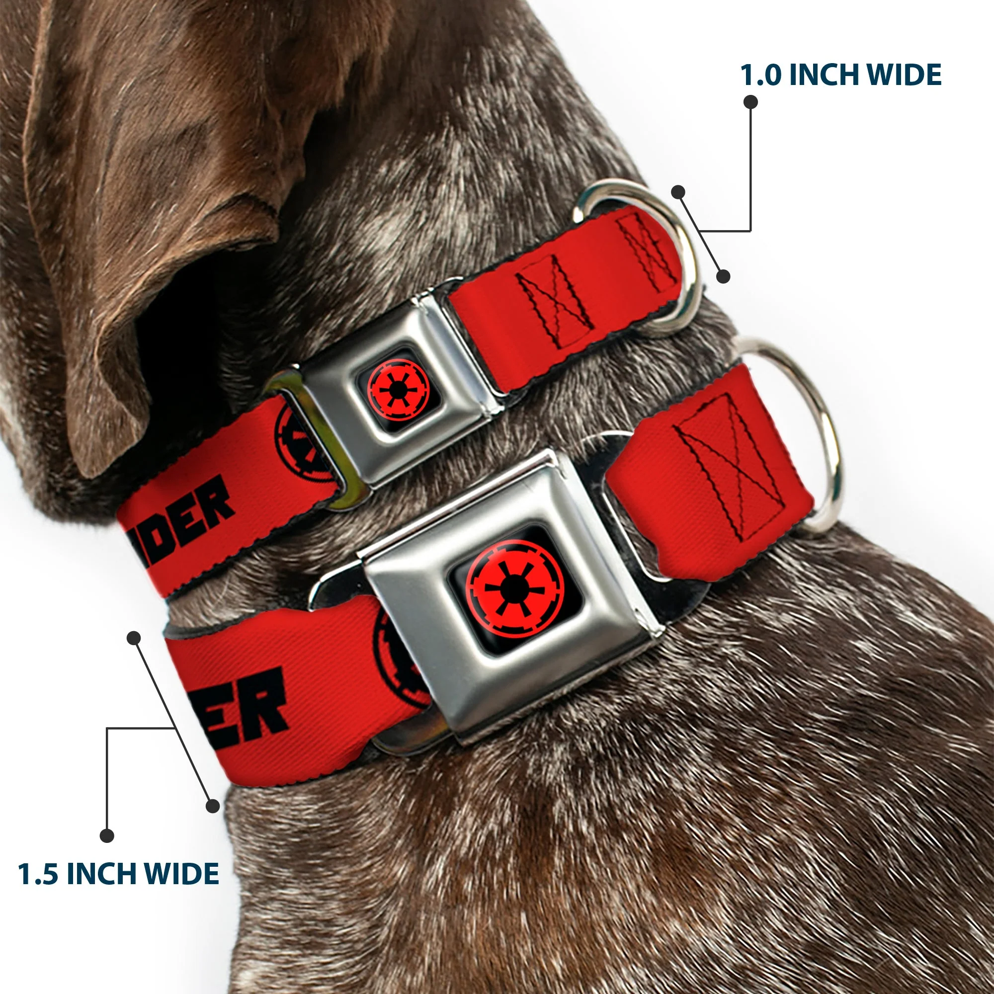 Star Wars Galactic Empire Insignia Full Color Black/Red Seatbelt Buckle Collar - Star Wars DARTH VADER Text and Galactic Empire Logo Red/Black - Image 2