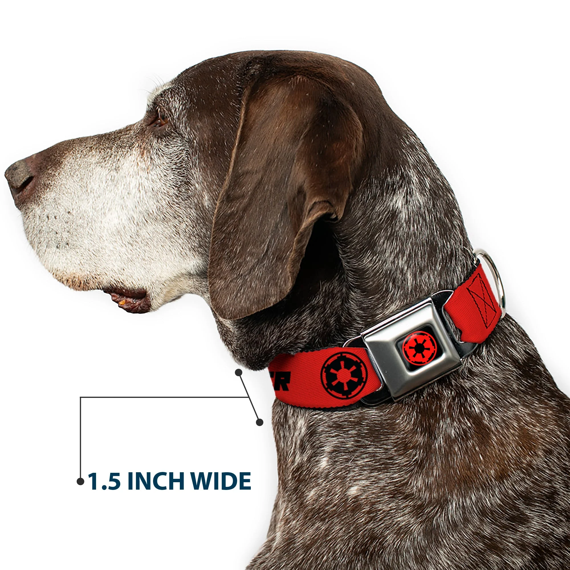 Star Wars Galactic Empire Insignia Full Color Black/Red Seatbelt Buckle Collar - Star Wars DARTH VADER Text and Galactic Empire Logo Red/Black - Image 7