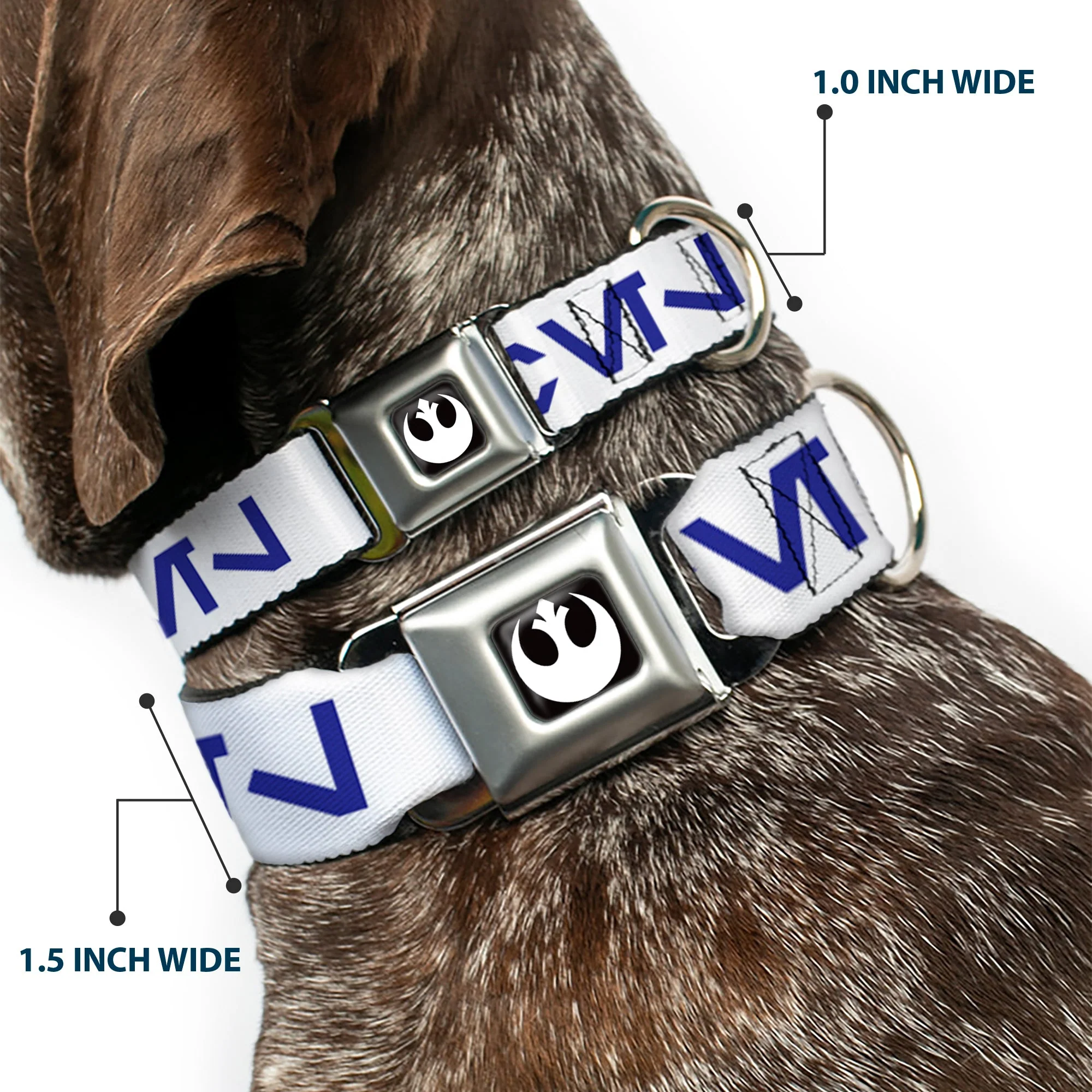 Star Wars Rebel Alliance Insignia Full Color Black/White Seatbelt Buckle Collar - Star Wars Aurebesh REBEL White/Blue - Image 2