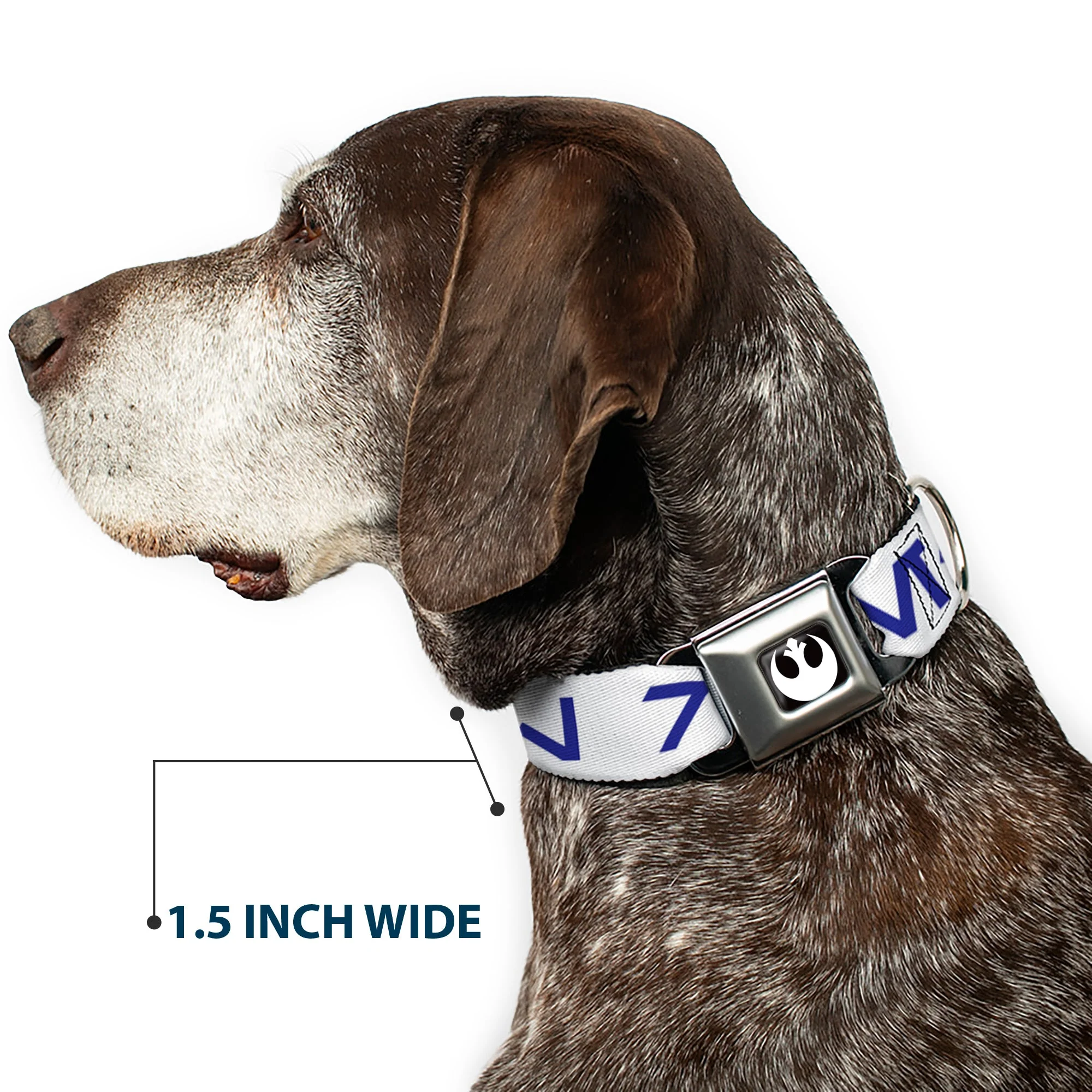 Star Wars Rebel Alliance Insignia Full Color Black/White Seatbelt Buckle Collar - Star Wars Aurebesh REBEL White/Blue - Image 7