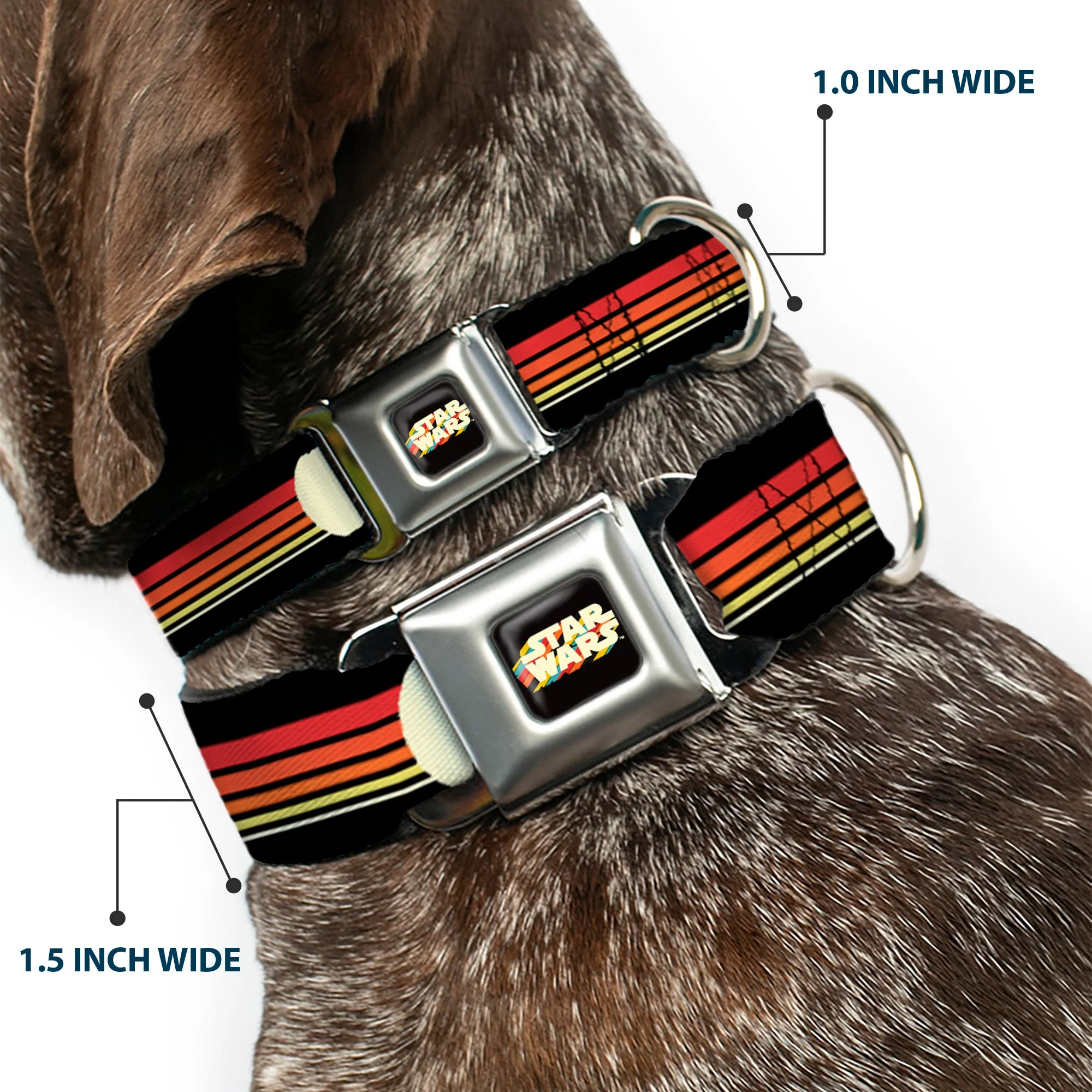 STAR WARS Stripe Logo Full Color Black/Multi Color Seatbelt Buckle Collar - Star Wars Millennium Falcon Stripe Black/Multi Color - Image 2