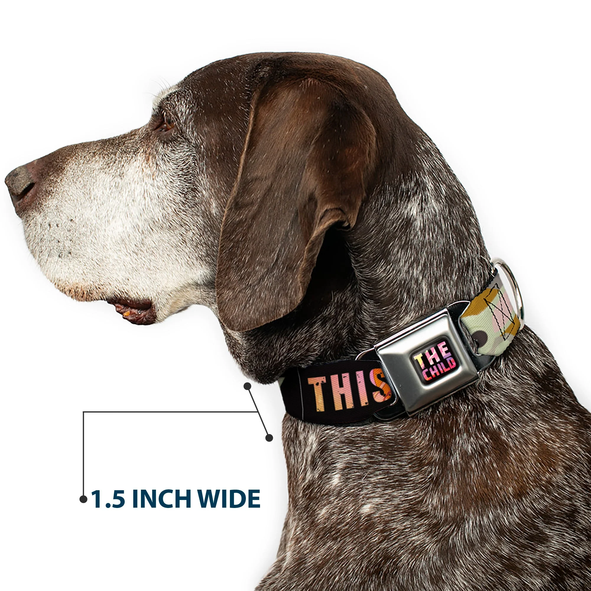 Star Wars THE CHILD Text Full Color Full Color Black/Multi Color Seatbelt Buckle Collar - Star Wars The Child Chibi Pod Pose THIS IS THE WAY Black/Multi Color - Image 7