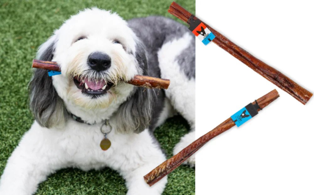 Stash Dog Monster Bully Sticks USA (12inch) - Image 3