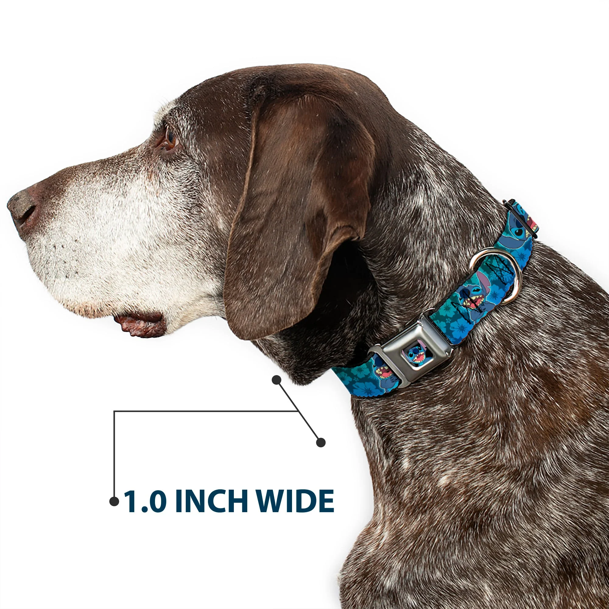 Stitch Smiling CLOSE-UP Full Color Black Seatbelt Buckle Collar - Stitch Expressions/Hibiscus Collage Green-Blue Fade - Image 6