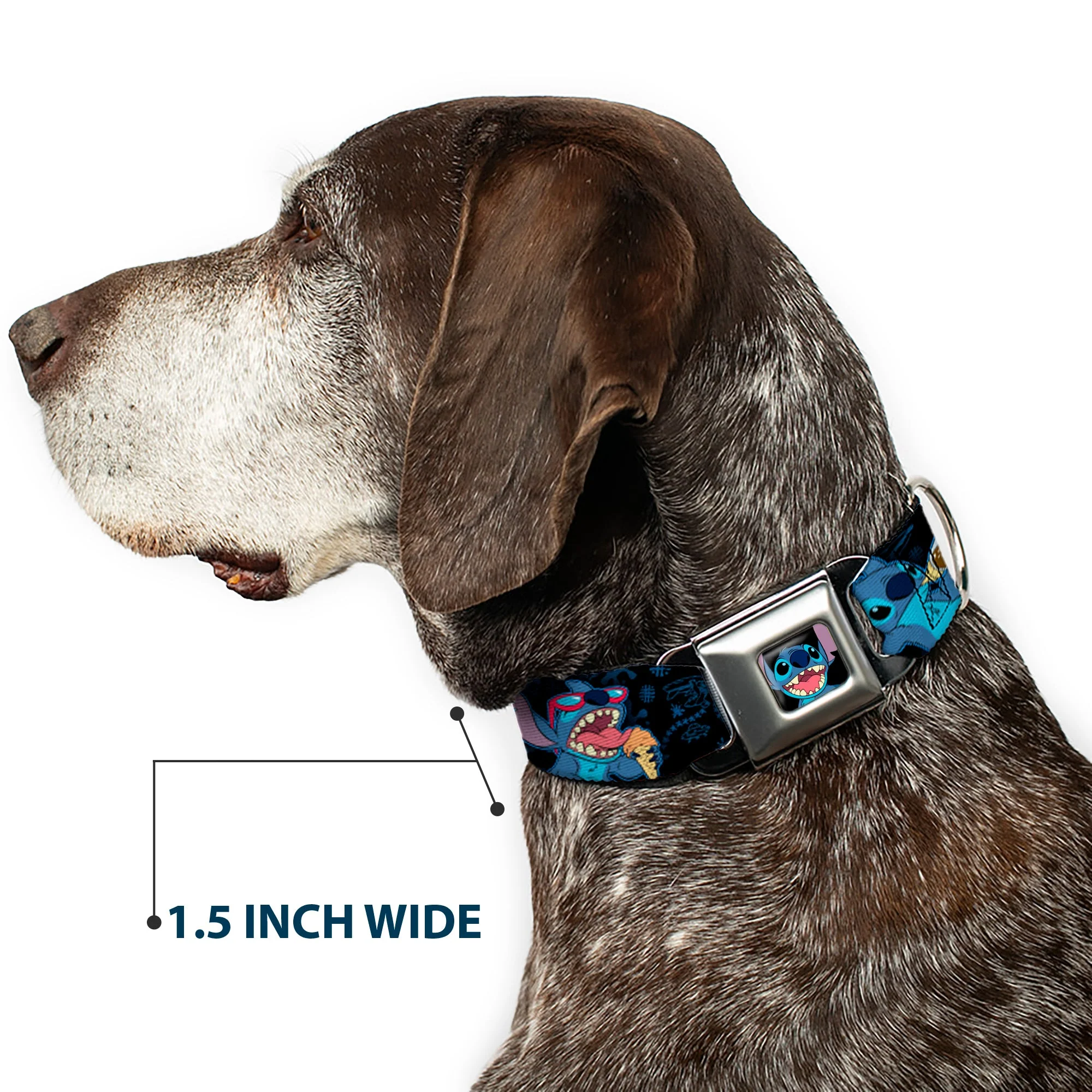 Stitch Smiling CLOSE-UP Full Color Black Seatbelt Buckle Collar - Stitch Snacking Poses Black/Blue - Image 7