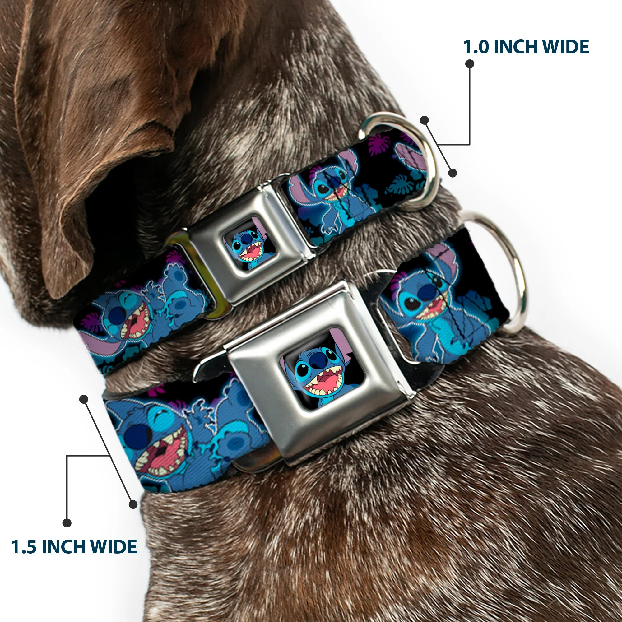 Stitch Smiling CLOSE-UP Full Color Seatbelt Buckle Collar - Stitch 2-Expressions/2-Poses Tropical Flora Black/Purple-Blue Fade - Image 2