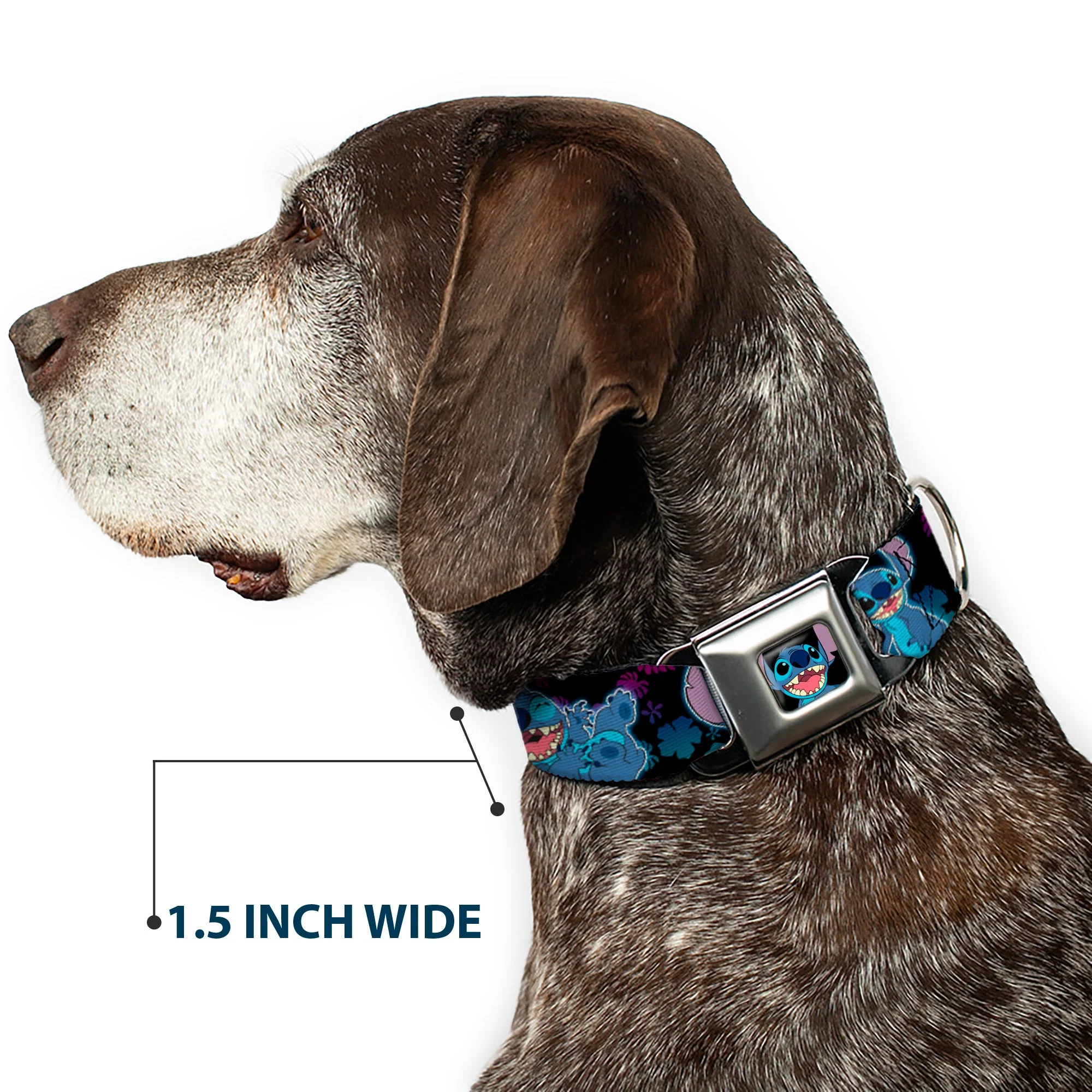 Stitch Smiling CLOSE-UP Full Color Seatbelt Buckle Collar - Stitch 2-Expressions/2-Poses Tropical Flora Black/Purple-Blue Fade - Image 7