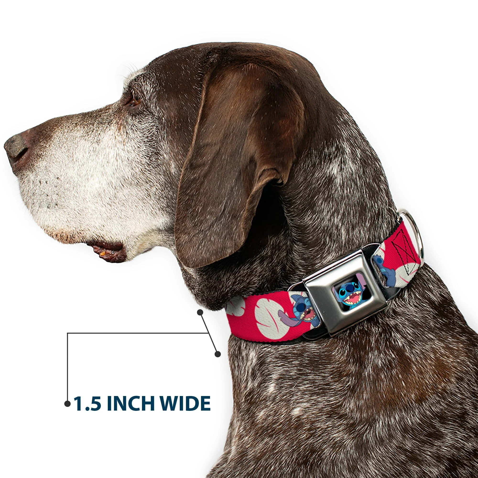 Stitch Smiling Full Color CLOSE-UP Seatbelt Buckle Collar - Lilo & Stitch Stitch 4-Poses/Lilo Dress Leaves Red/Ivory - Image 7